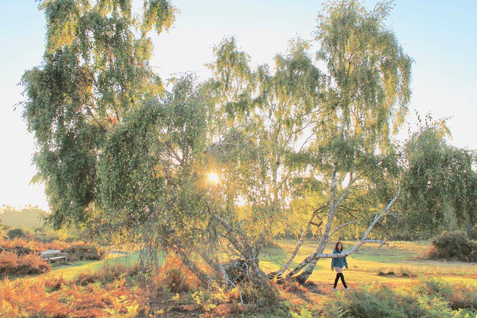 Sarah walking beneath silver birches in low autumn sun